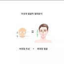 어나더근본