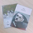 마이몽몽 이미지