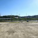 덕구온천단체 이미지