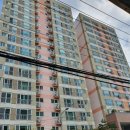 청룡동-21 이미지