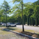 정암목장 | [춘천] 가평 근처 국내 여름 여행지 추천 이끼원이 예쁜 수목원 제이드가든 입장료, 포토존, 다람쥐빵