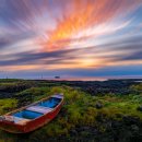 (주)제주가는길 이미지