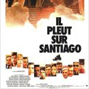 하라인터내셔널 이미지