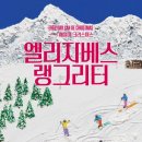 매일크리스마스 이미지