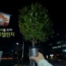 나무이노베이션