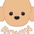로힌(rohin) 이미지
