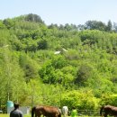 속사초등학교 이미지