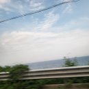 통도사휴게소(커피딜라이트) | 강원도 찍먹 여행