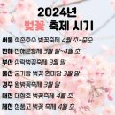 2024년 벚꽃개화 시기(미리 계획 세우세요) 이미지