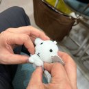 신촌주짓수 | 게으름이 거의 배짱이 수준