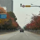 구미로116번길 | [방문일기] 더현대 온러닝 매장 방문 후기 | 웨이팅 현황