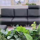 영문2리 | 드디어 정착! 내 로망 소파 찾으러 용인소파 전문점 상륙!