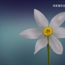 의료법인 산수의료재단 네이버블로그