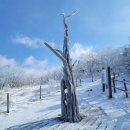 버스정류장 07-043 | [소백산대중교통][소백산등산코스]희방사 천동 어의곡 대중교통가는법 6곳 산행후기 6곳 총정리