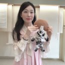 평생학습센터 2기-캐릭터 일러스트 | 이수애관광연구소. 이수애 대표는?