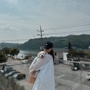 상남견 | 양평애견동반카페 오늘제빵소 강아지들과의 개이트 가능