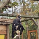 오르농장 이미지