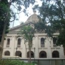 황후 캣 이미지