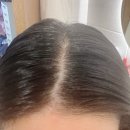 두피 케어 끝판왕 아발론 오가닉스 티트리 샴푸 사용후기