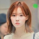 참머리사랑 이미지