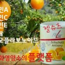 피엠화학 이미지