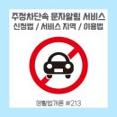 주정차 단속 - 001 이미지