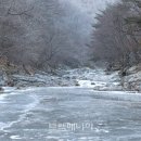 [출발-인제]아침가리계곡 얼음트레킹(1/18 토요일) 이미지