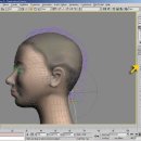 hair option(헤어옵션)
