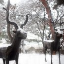 우제류를위하여 이미지