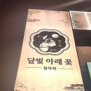 월하화 네이버블로그