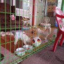 전라도거시기 이미지