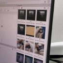 올치동물병원 이미지