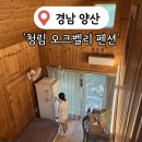 청림오크밸리 | [양산여행] 배내골 청림오크밸리 펜션 추천/ 추가요금 가격 및 계곡 수영장 숙소 후기