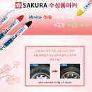 사쿠라(SAKURA) 이미지
