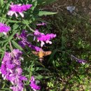 로스터리 연화 이미지