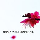 하나님은 언제나 내편(사41:10) 이미지