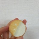 샌드순 | [롯샌 파스퇴르 순우유맛] 롯데샌드 파스퇴르 순우유맛 후기