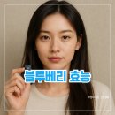 블루베리 효능
