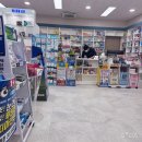 임플란트 뼈이식 후기 (오스템 임플란트 보증서 포함)