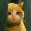 춘천클라인치과의원 | 춘천 미치과 사랑니 발치 후기, ㄹㅇ 5분 만에 뽑아서 당황함..