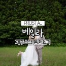 제주스냅촬영 헬퍼동행 "베일라" 내돈내산 후기