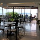 로뎀트리 이미지