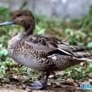 오리산단7로 이미지