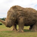 지푸라기 이미지