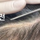 도트바이림 이미지