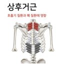 홍익한의원 이미지