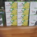 봉기농장 이미지