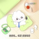 사바사바치킨 이미지