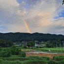 꽃심지 둔데기마을 이미지