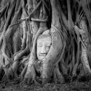 거창-가북-1 이미지